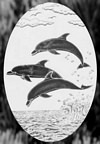 Ocean and Sea Life Etched Decals