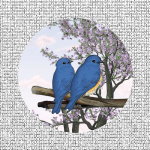 blue birds screen door magnets
