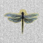 Dragonfly Screen Door Saver Magnets