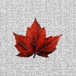 Maple Leaf Screen Door Saver Magnets
