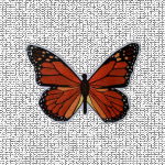 Monarch Butterfly Screen Door Magnets
