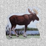 Moose Screen Door Saver Magnets