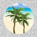 Round Palm Screen Magnet