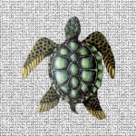 Sea Turtle Screen Door Saver Magnets