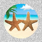 Starfish Screen Magnet